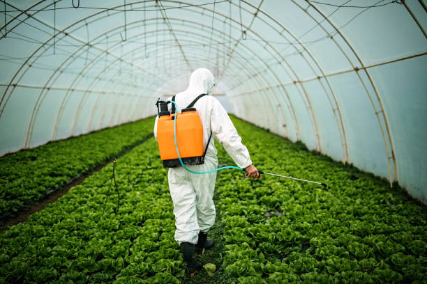 Best Local Pest Control Services  in Porters Neck, NC