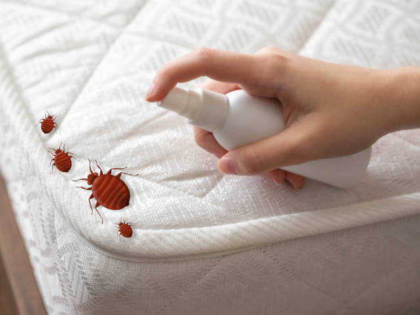 Best Insect Control  in Porters Neck, NC