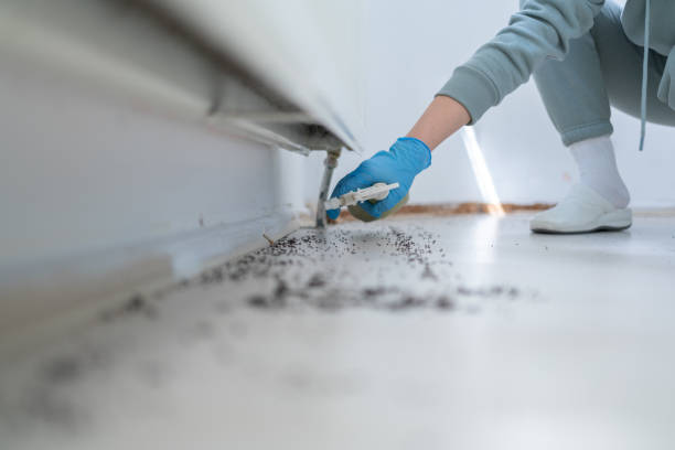 Best Bed Bug Extermination  in Porters Neck, NC