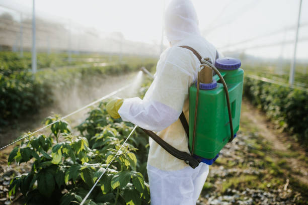 Best Best Pest Control Companies  in Porters Neck, NC